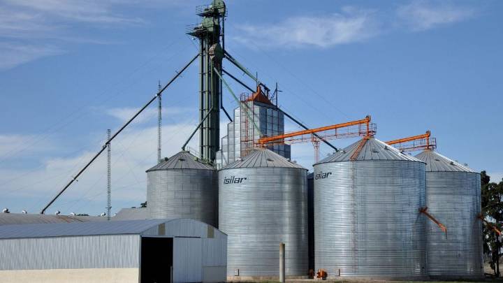 Pautas para reducir el riesgo de mezclas de granos en la cosecha y minimizar pérdidas