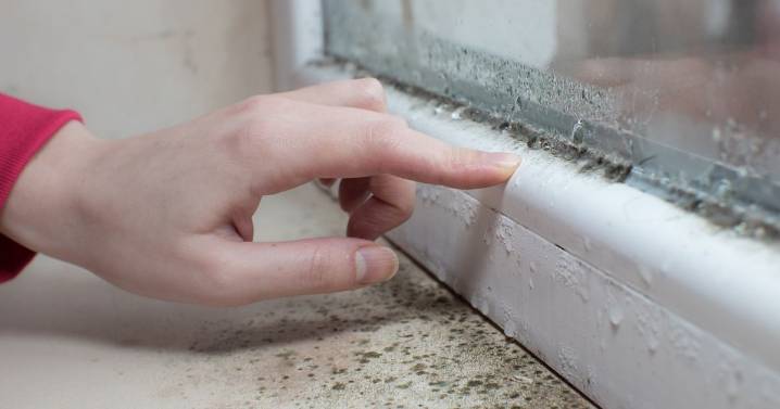 Quick way to address damp that Germans swear by, and it costs nothing