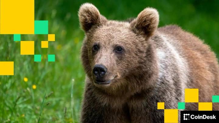 'Extremely Bearish:' Is $91K New Bitcoin Price Target?