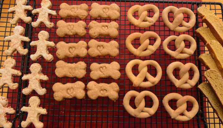 Bakery specializes in birthday cakes for dogs