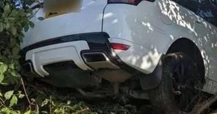Amazing pictures as woman 3 times over limit crashes Range Rover into bushes