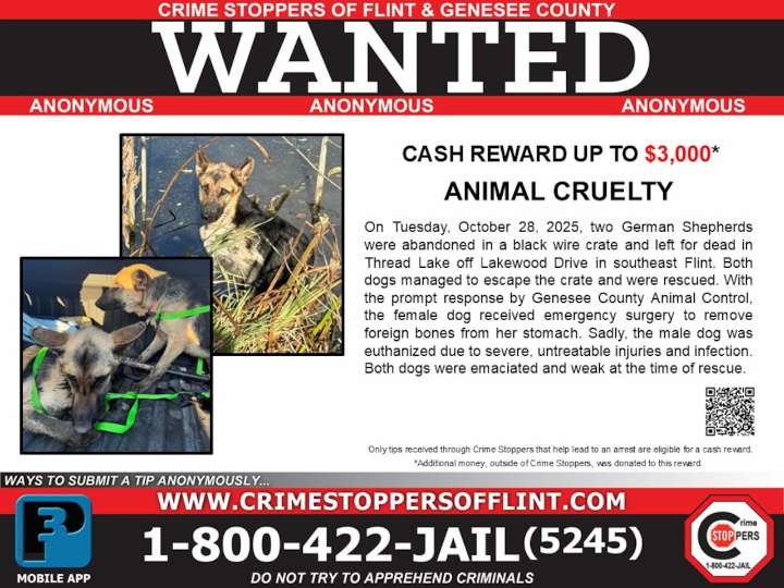 Donations allow for increased reward in Flint animal cruelty case