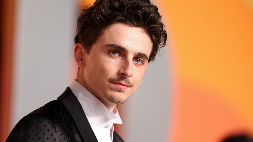 Timothee Chalamet Gets Upset About Losing Oscars: 'Call Me a Try