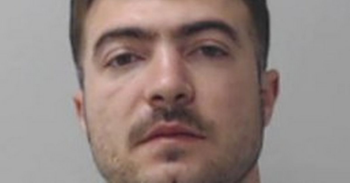 Man involved in Edinburgh cannabis farm jailed as police uncover £3.8m operation