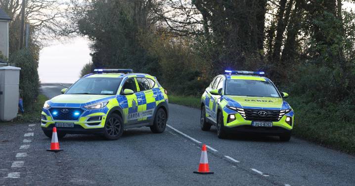 'Veil of deep sadness' over Ireland as five young people die in horror crash