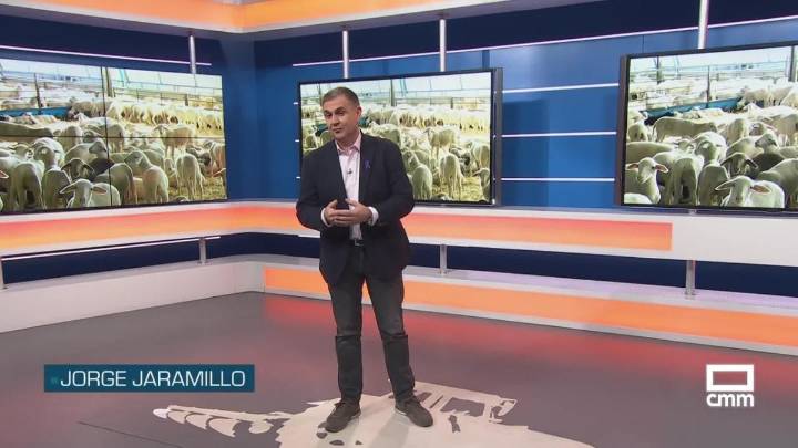 El campo - 25/11/2025