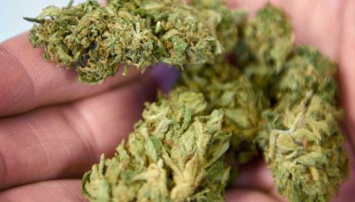 Here's what hemp products will be banned following…