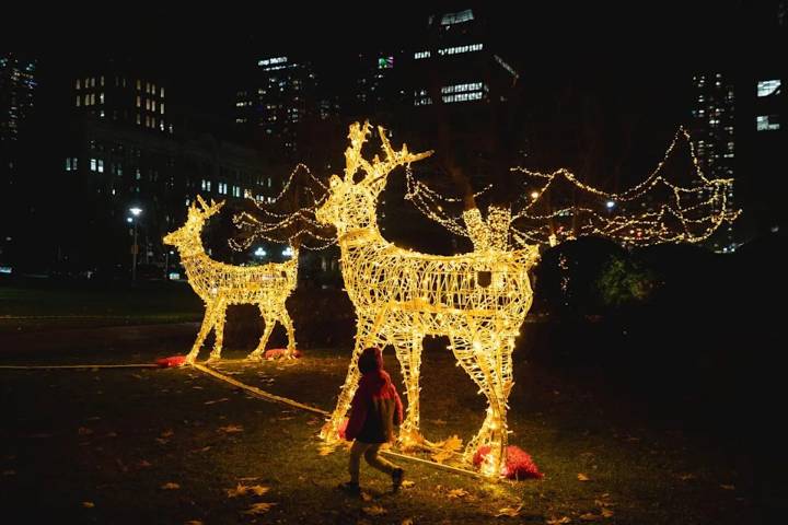 Speaker hopes decked halls of Queen's Park will draw more visitors