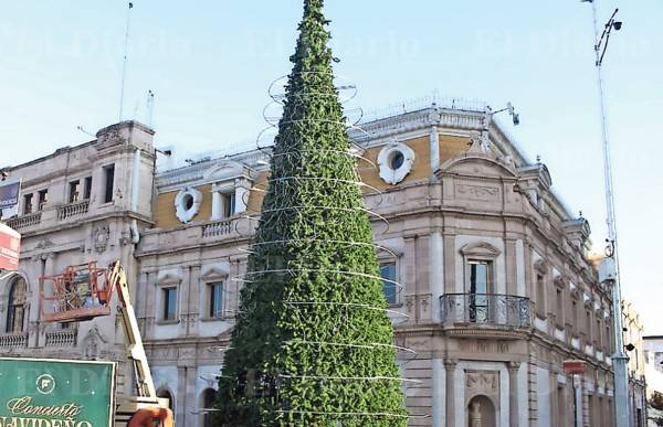 Encenderán 'bosque' navideño en la Plaza de Armas