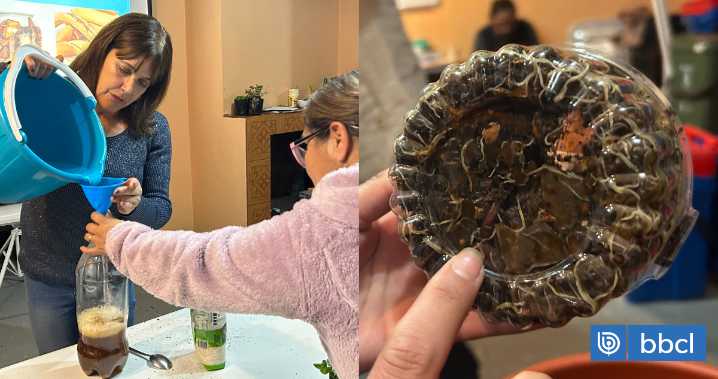 Vecinos de Santa Juana transforman residuos en abono natural gracias a programa impartido por el Minvu