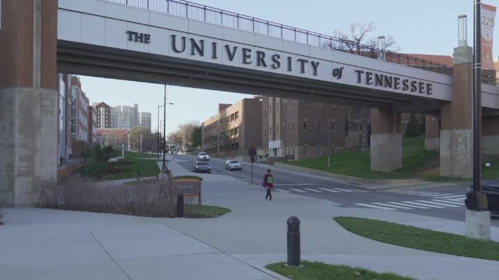 UT: University's interests outweigh rights of professor who derided Charlie Kirk