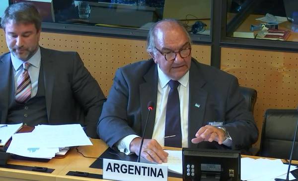 Funcionario de Milei fue a la ONU a negar los 30 mil desaparecidos: "Dato falso"