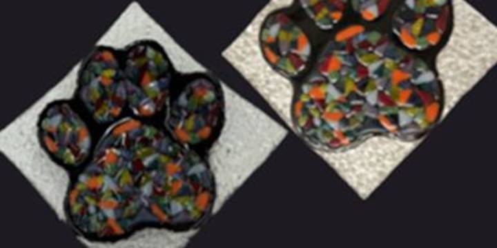 Artist helping ‘extremely overcrowded’ Richland County Dog Shelter