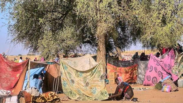 UN agency warns aid operations in Sudan on the 'brink of collapse'