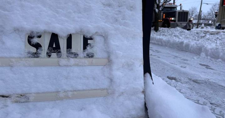 Winter storm warnings stretch across the northern US, bringing snow, cold and risky conditions