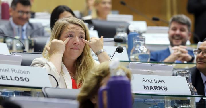 Marks renunció a su banca en la Legislatura de Río Negro y habrá recambio en diciembre