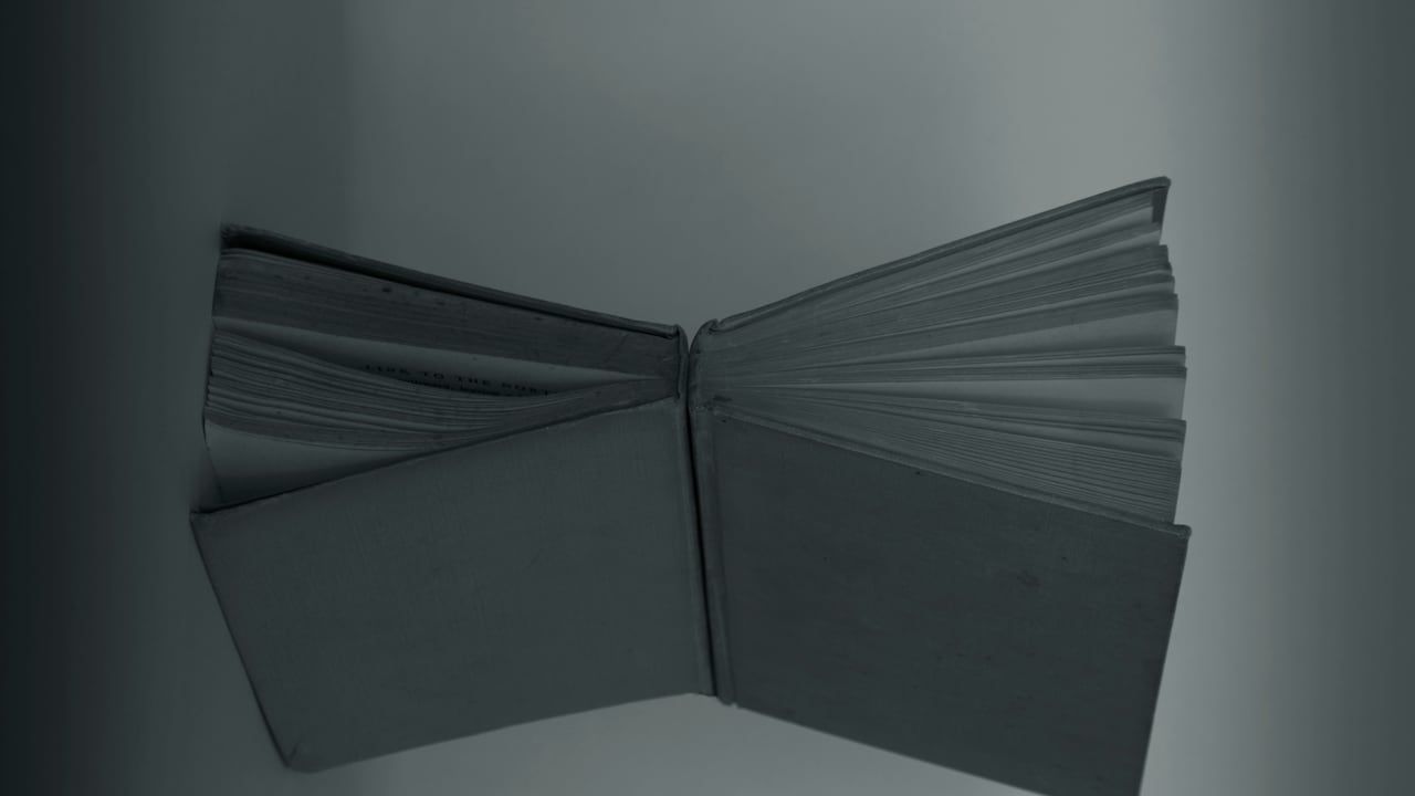 La imitación: del halago al plagio