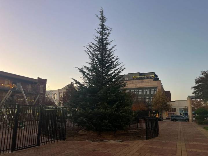Christmas tree installed in downtown Spartanburg