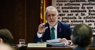 Vox se querella ante el Supremo contra el ministro Torres por falso testimonio en su comparecencia en el Senado