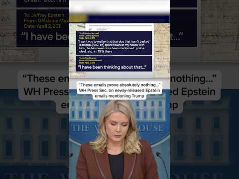 'These emails prove absolutely nothing' WH Press Sec. on released Epstein emails mentioning Trump