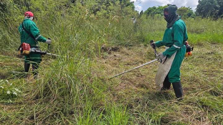 Alcaldía avanza con plan de mantenimiento y embellecimiento Maturín 2025
