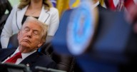 Donald Trump 'falls asleep' live on air during chaotic press conference sparking controversy online