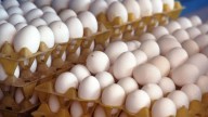 Egg prices hit all-time high in Kerala at ₹7.50