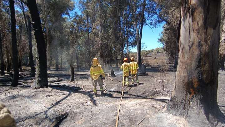 La Junta mejora las condiciones de los Agentes del Medio Natural y refuerza el Infoex con dos nuevos aviones anfibio