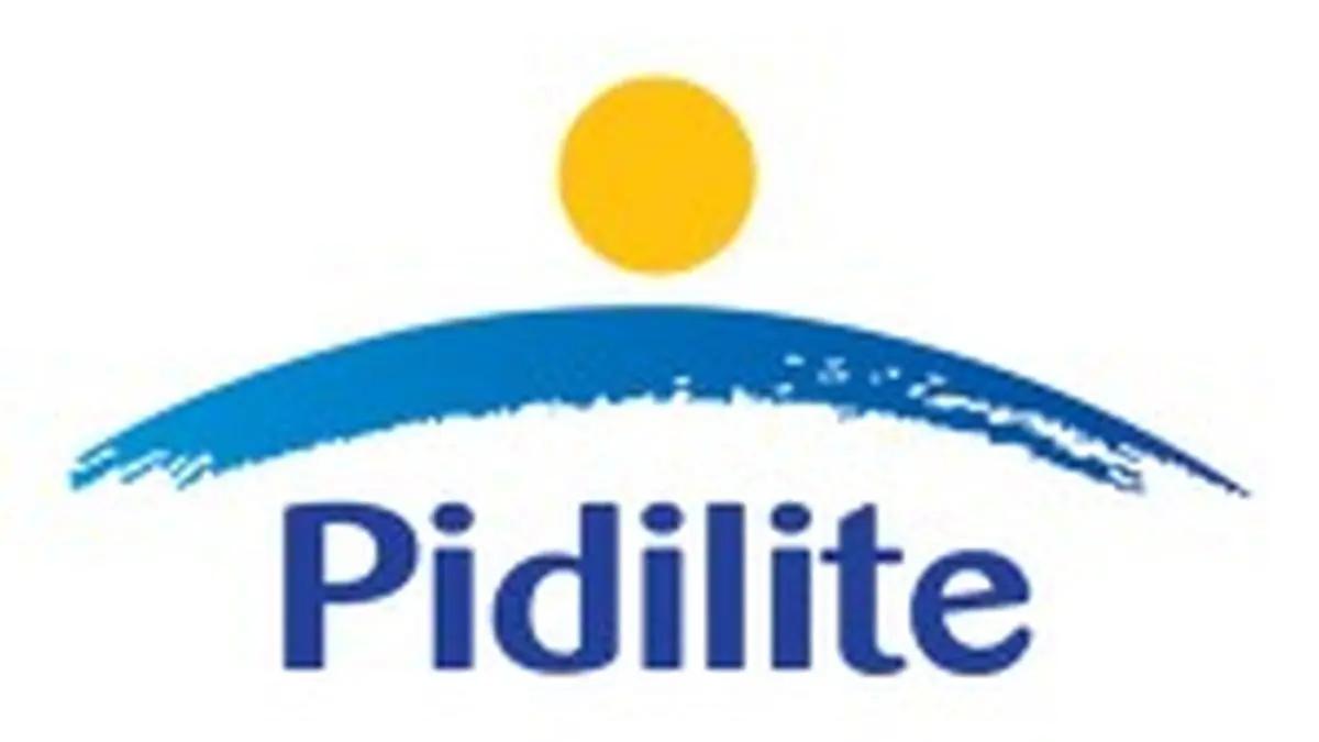 Pidilite bets big on energy-efficient solutions for data centres, electronic manufacturing
