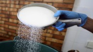 Sugar production seen up 16%