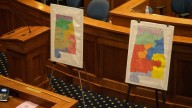 Federal judge approves new state senate map