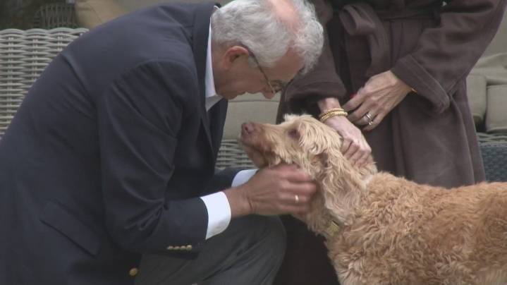 A warning for pet owners about pool covers