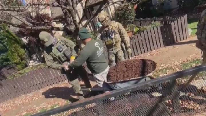 Operation Charlotte's Web: 'Non-violent' landscaper had DHS permission to work, family says