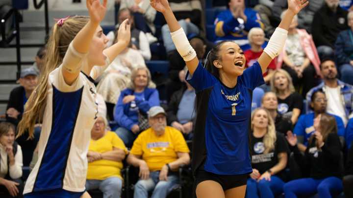Webster Schroeder tops Irondequoit in girls volleyball finals