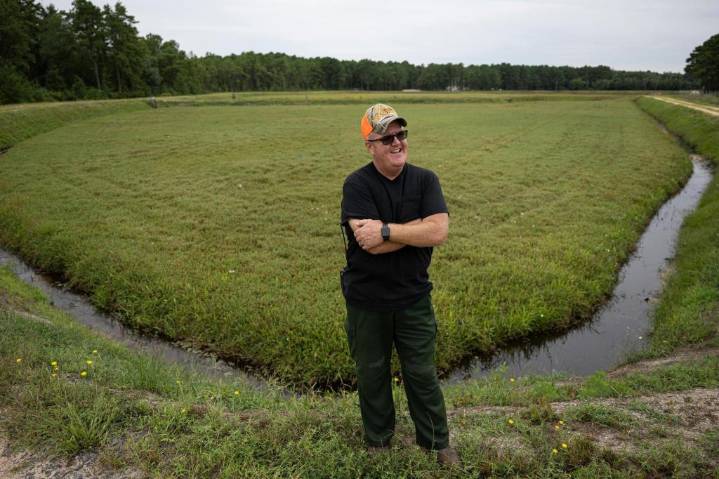 New Jersey man is first documented death from tick-related red meat allergy – Hartford Courant