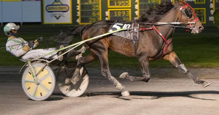 El Toro Loco was bully on the competition at Batavia Downs