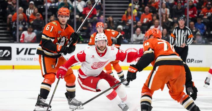 Anaheim Ducks beat Detroit Red Wings 5-2; Troy Terry scores twice