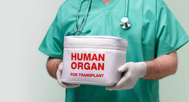 SC Asks Centre To Frame National Policy, Uniform Rules On Organ Transplantation