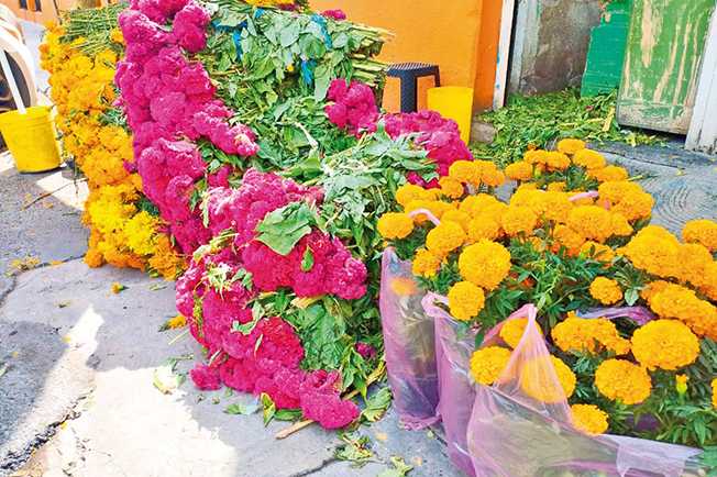 Despliegan operativo para que nadie se pase de vivo