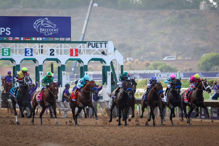 Del Mar’s Friday racing rained out; Monday card added