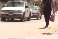 Más de la mitad de las mujeres desaparecidas en BCS son menores de edad