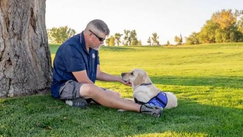 Marine and US Army veteran's service dog saves his life from a medical emergency by waking him up before he had a stroke