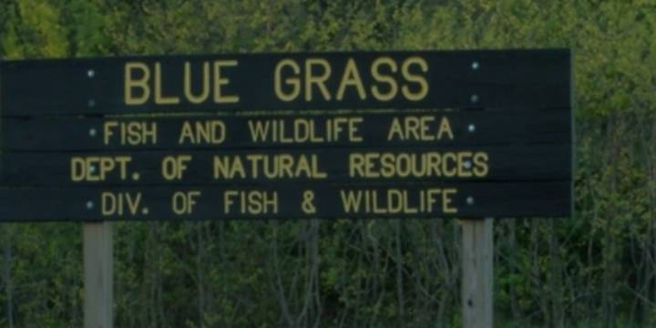 Fisher finds woman’s body near Warrick Co. boat ramp, police say