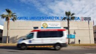 Fallece un conductor de 22 años al caerle encima una palmera en Torrevieja