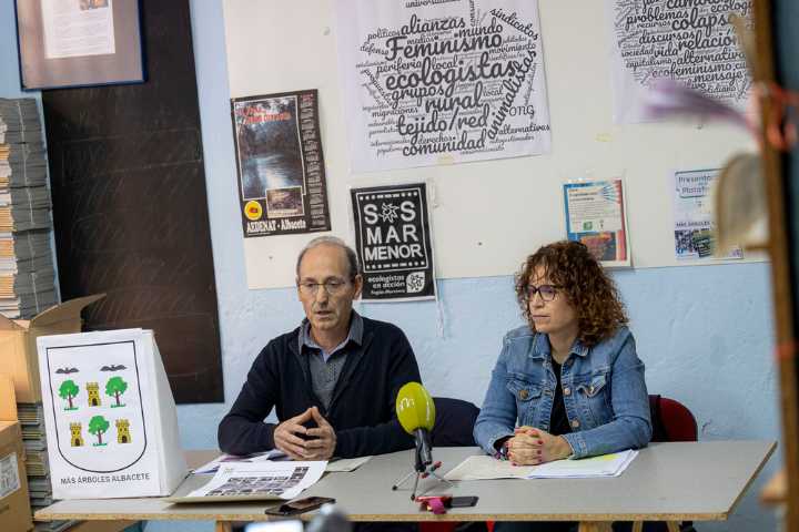 Detectan más de 700 alcorques vacíos en la ciudad