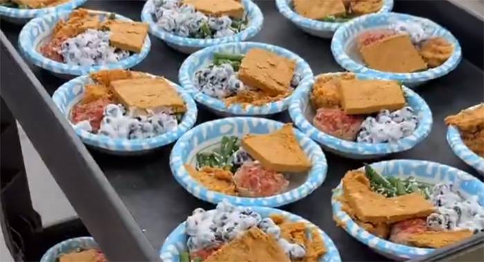 Las Vegas shelter dogs enjoy Thanksgiving feast