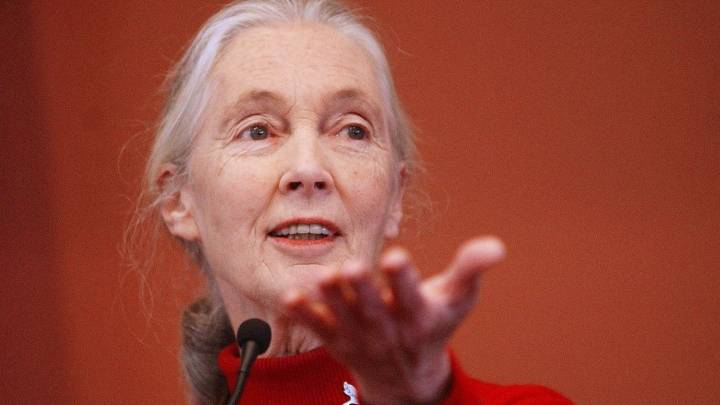 Noteworthy and influential people who've died this year