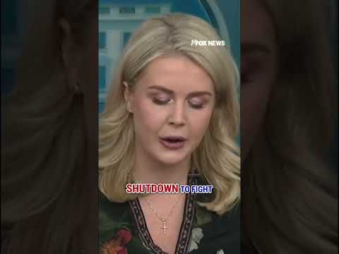 Leavitt: This is a TOTAL DISGRACE! #shorts #trump #politics #usnews