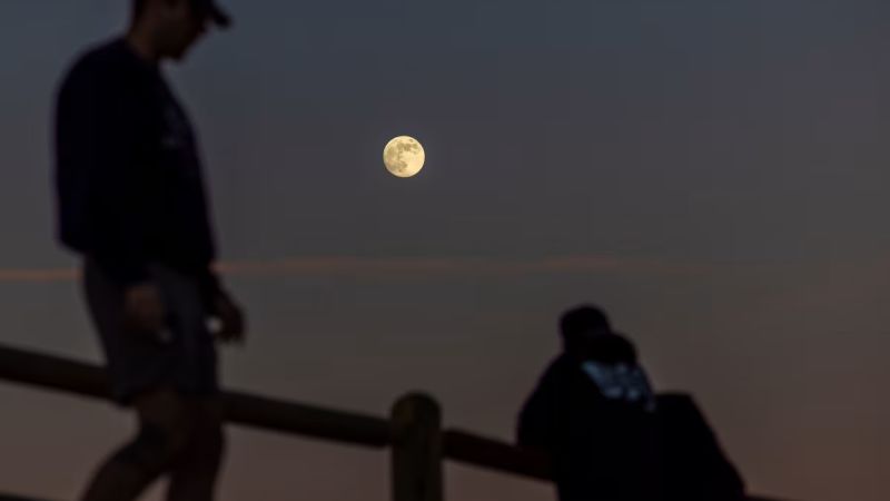 Luna llena de noviembre y lluvia de meteoros Táuridas del Sur: ¿Cuándo observarlos en su esplendor?