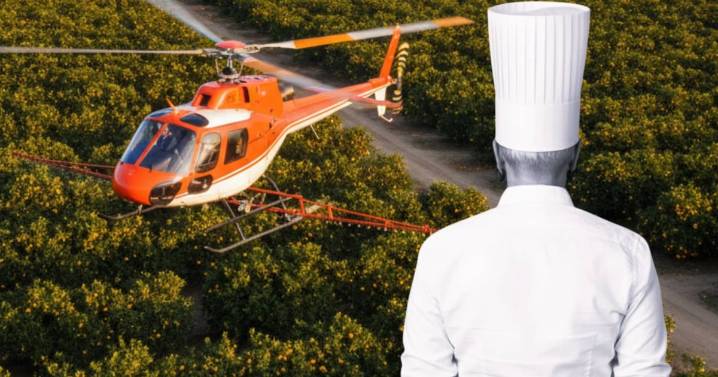Muere Mynie Steffens, chef estrella de TV, en accidente de helicóptero mientras fumigaba naranjas